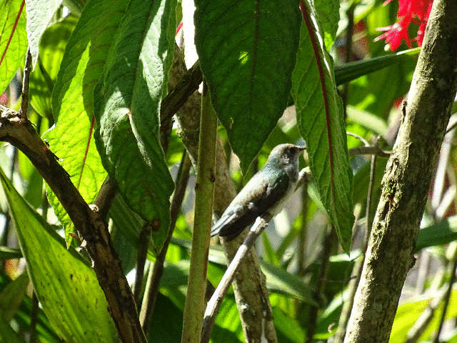 �}�`���s�`����Ղ̐���