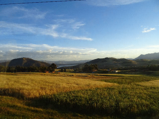 �I�������^�C�^���|����N�X�R�h�z�Z �A���g�j�I�z�e���h��