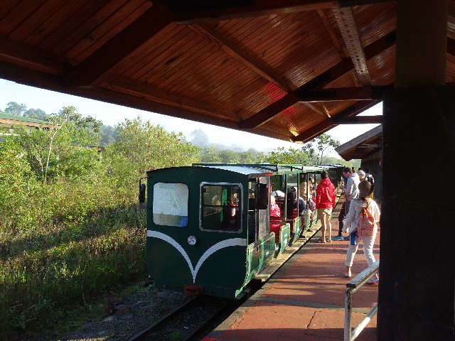 �g���b�R�d�Ԃɏ���ăC�O�A�X�t�H�[���Y�ό���