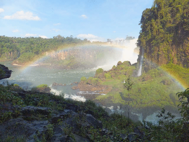 �C�O�A�X�̑�{�[�g�c�A�[