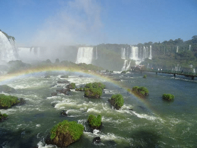 ���C���{�[�t�H�[���Y