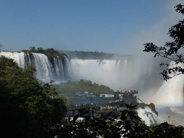 ���C���{�[�t�H�[���Y