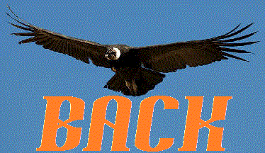 �y���[�ό������ɖ߂�