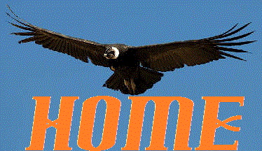 ���s�I���ɖ߂�