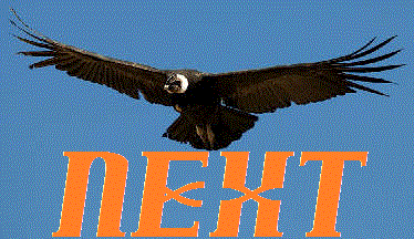 ���}�ό��֑���